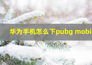 华为手机怎么下pubg mobile